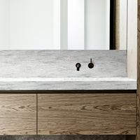 CW5851 10 Years Warranty Kitchen And Bathroom Solid Surface Manufacturer 6-30mm Thickness Artificial Marble for Counter Top