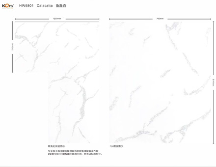 视频封面 -2.jpg