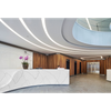  CXW2101 Manufacturer Kitchen And Bathroom 6-30 Mm Thickness Stain Resistant Artificial Stone Polyurethane For Counter Top