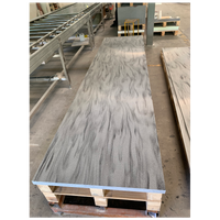 CW5832 Kitchen And Bathroom Solid Surface Manufacturer 6-30mm Thickness Faux Stone Panels Interior